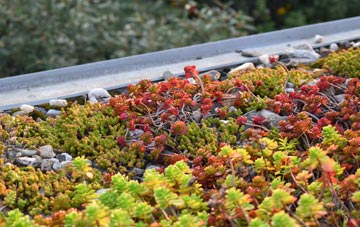 the cost of Ingoldsby green roof installation