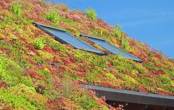 Ingoldsby living roof systems